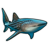 Whale Shark Sticker 4 Inch — Waterproof Vinyl Decal Rhincodon Largest Fish 9