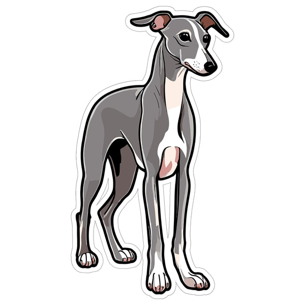 Italian Greyhound Sticker 4 Inch — Waterproof Vinyl Decal IG Sighthound Toy