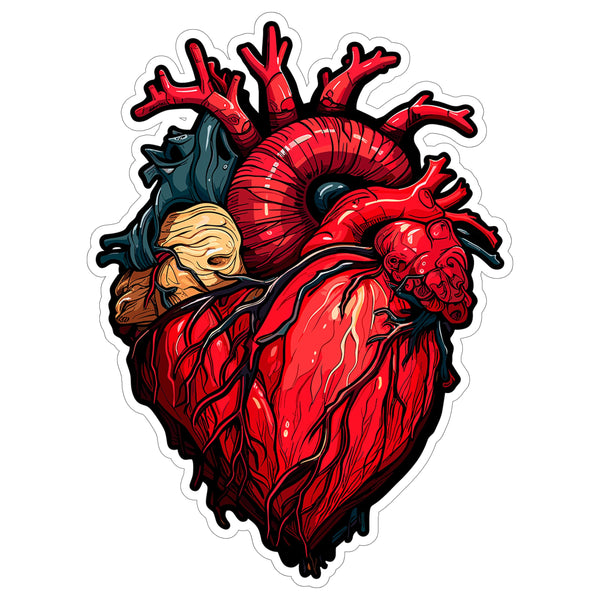 Anatomical Heart Sticker 4 Inch — Waterproof Vinyl Decal Medical Anatomy Science Love
