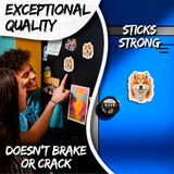 Akita Magnet 2-Pack — 4
