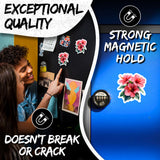 Hibiscus Magnet 2-Pack — 4