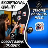 Bichon Frise Magnet 2-Pack — 4