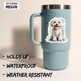 Maltipoo Sticker 2-Pack — 4