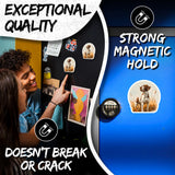 Pointer Magnet 2-Pack — 4