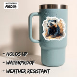 Honey Badger Sticker 2-Pack — 4