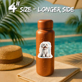 Maltipoo Sticker 2-Pack — 4