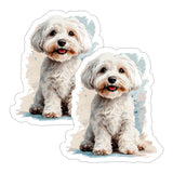 Maltipoo Sticker 2-Pack — 4