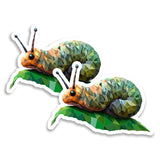 Slug Magnet 2-Pack — 4