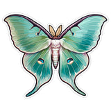 Luna Moth Sticker 4 Inch — Waterproof Vinyl Decal Actias Luna Silk Pale Green 9