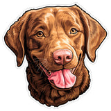 Chesapeake Bay Retriever Sticker 4 Inch — Waterproof Vinyl Decal Chessie Duck Dog 8