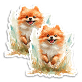 Pomeranian Magnet 2-Pack — 4