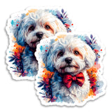 Bichon Frise Magnet 2-Pack — 4