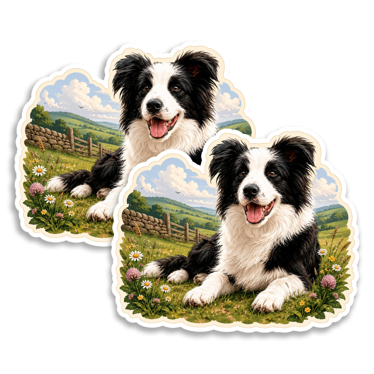 Border Collie Magnet 2-Pack — 4