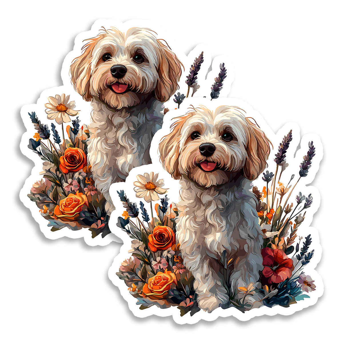Havanese Magnet 2-Pack — 4