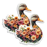 Duck Magnet 2-Pack — 4