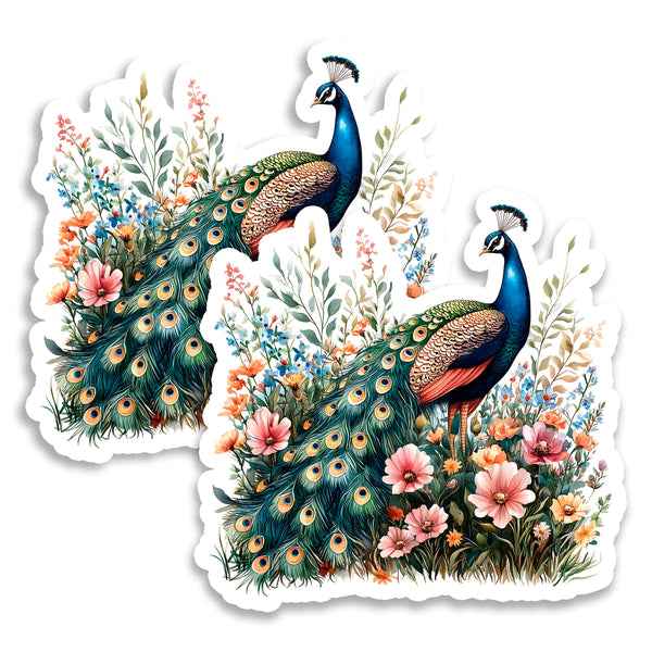Peacock Magnet 2-Pack — 4