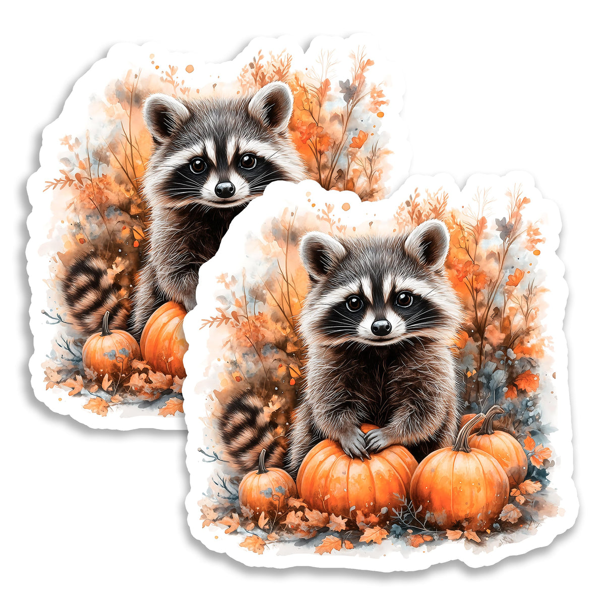 Raccoon Magnet 2-Pack — 4