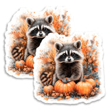 Raccoon Magnet 2-Pack — 4