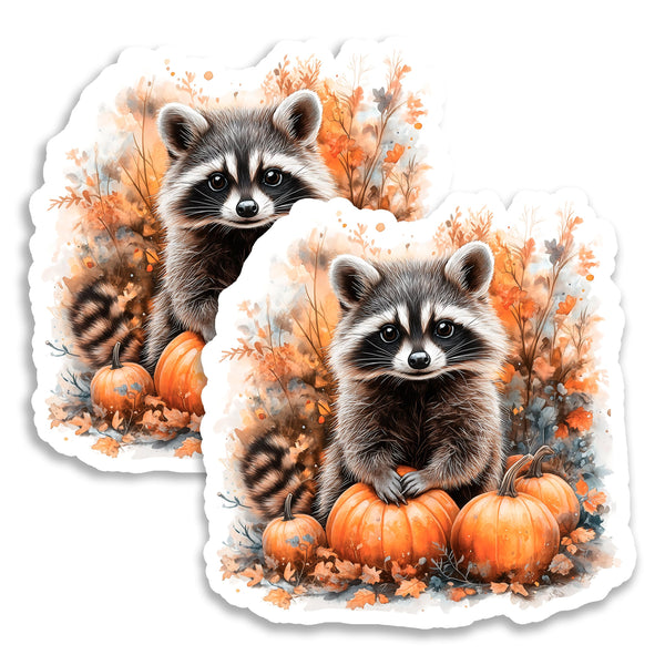 Raccoon Magnet 2-Pack — 4