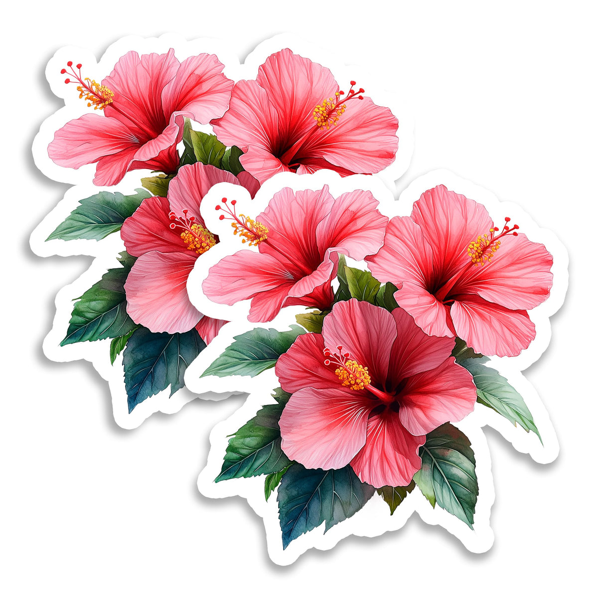 Hibiscus Magnet 2-Pack — 4
