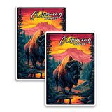 Wyoming State Magnet 2-Pack — 4