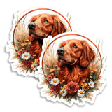 Irish Setter Magnet 2-Pack — 4
