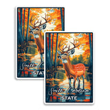 South Carolina State Magnet 2-Pack — 4