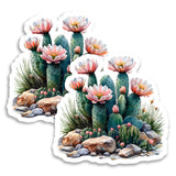 Cactus Succulent Magnet 2-Pack — 4