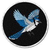 Blue Jay Patch — 3