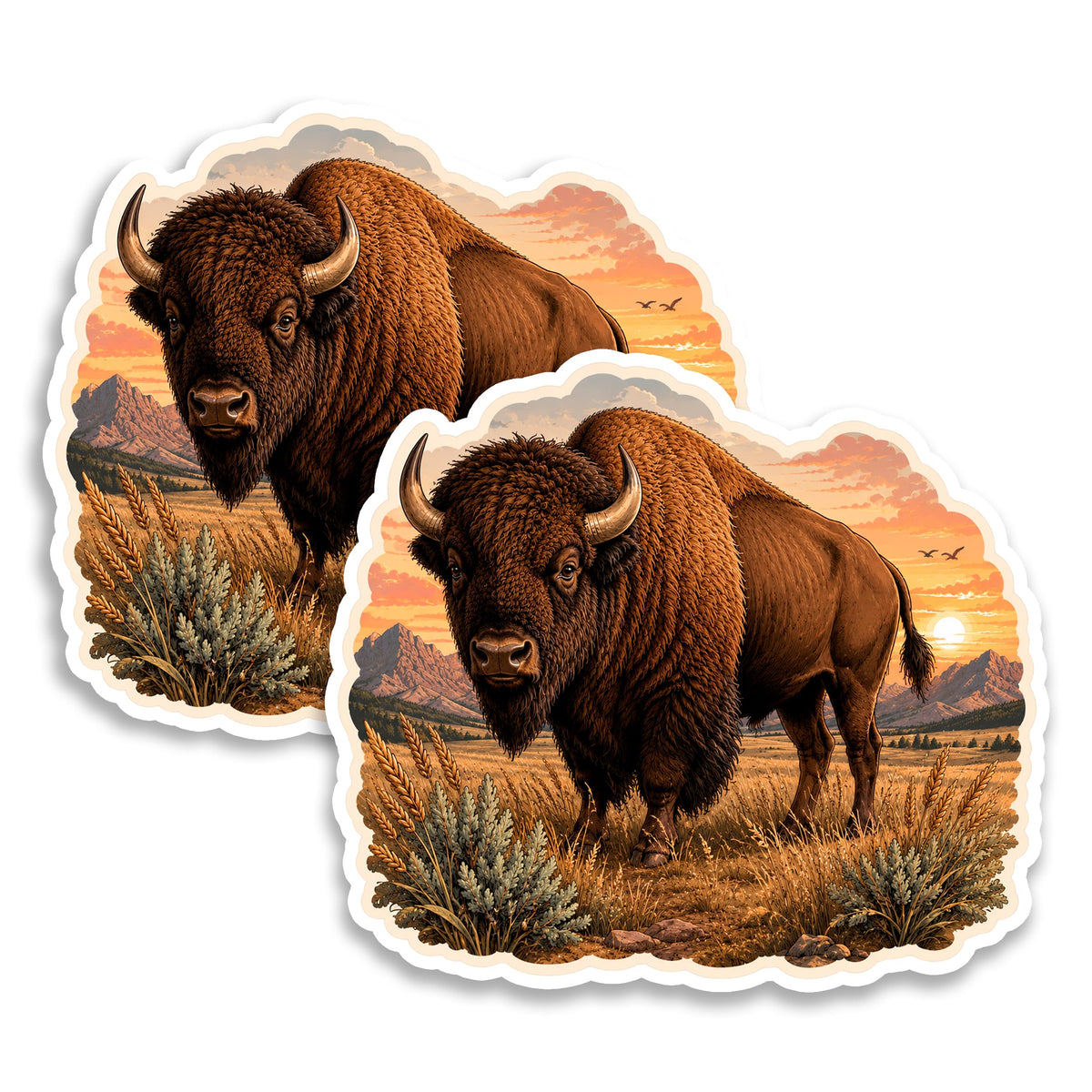 Bison Magnet 2-Pack — 4