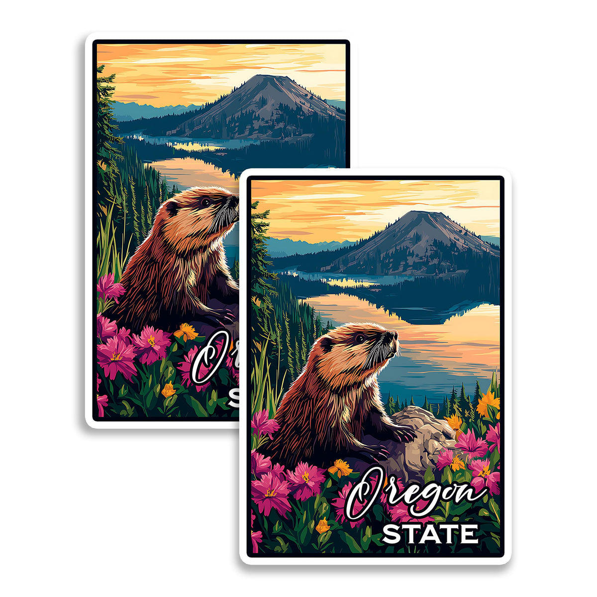 Oregon State Magnet 2-Pack — 4