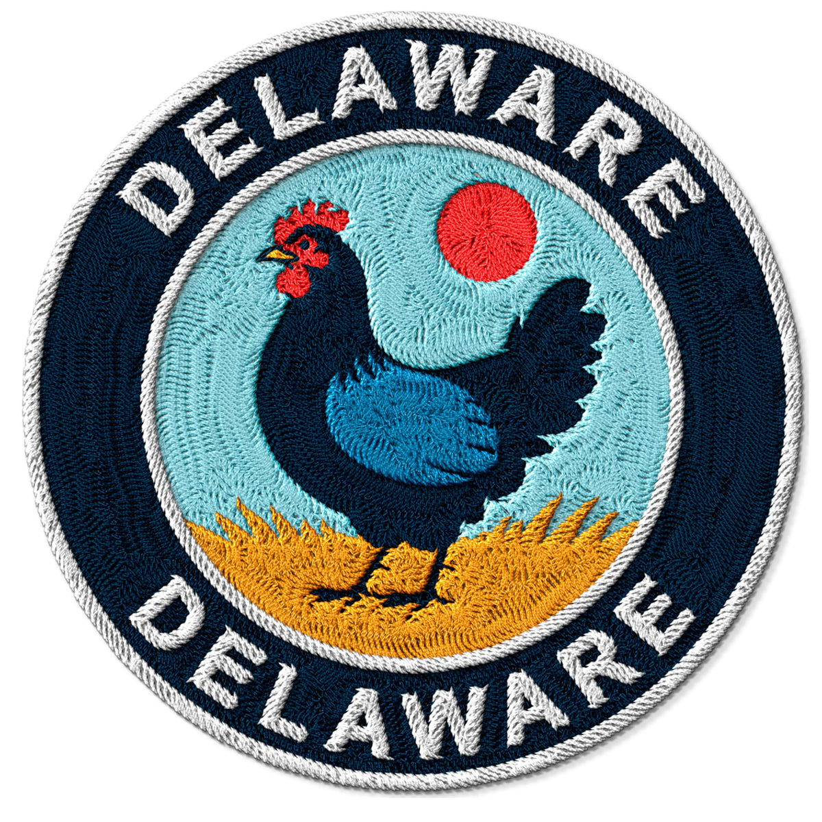 Delaware State Patch — 3