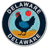 Delaware State Patch — 3
