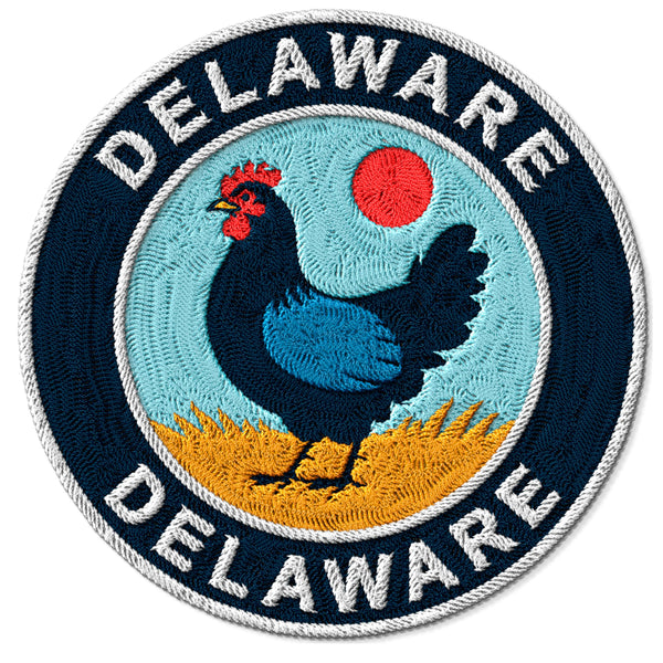 Delaware State Patch — 3