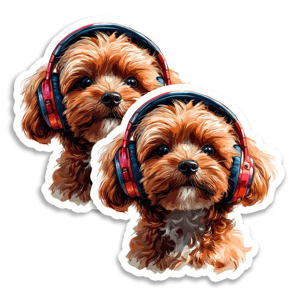 Maltipoo Magnet 2-Pack — 4