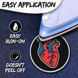 Anatomical Heart Patch — 3