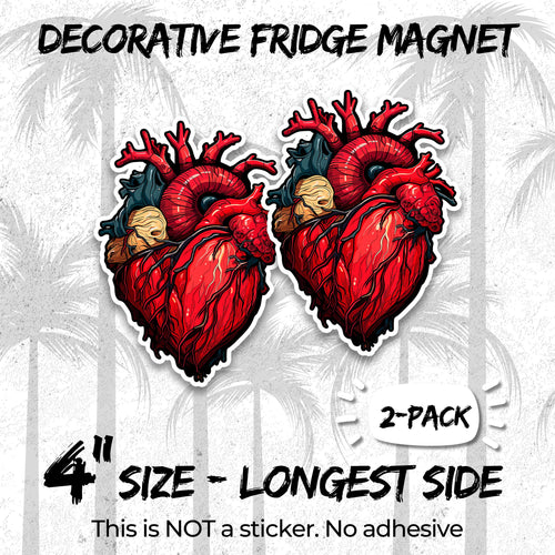 Anatomical Heart 4 inch vinyl fridge magnet 2-pack, medical anatomy design, durable kitchen office locker decor