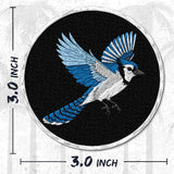 Blue Jay Patch — 3