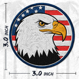 Bald Eagle Patch — 3
