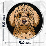 Goldendoodle Patch — 3