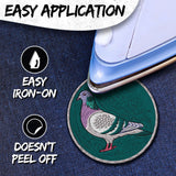 Pigeon Patch — 3
