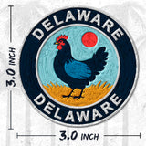 Delaware State Patch — 3