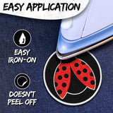 Ladybug Patch — 3